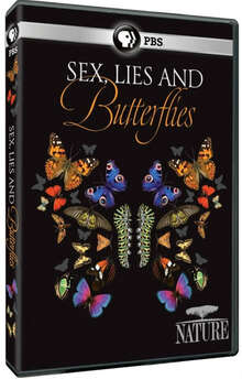 性感謊言和蝴蝶