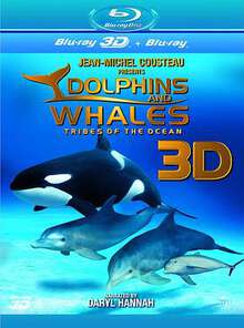 海豚和鯨魚3D