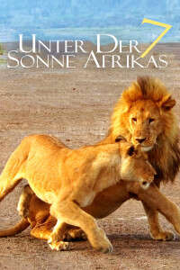 走进非洲7:拂晓之狮
