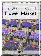 世界上最大的鮮花市場