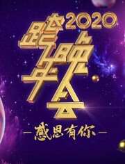 2020浙江卫视跨年演唱会