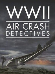 二戰墜機調查