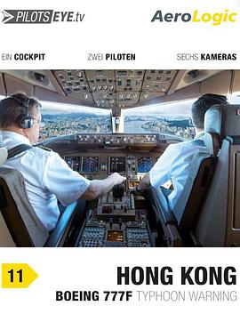 飛行員之眼:香港