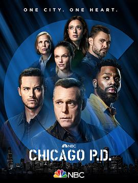 芝加哥警署:第九季
