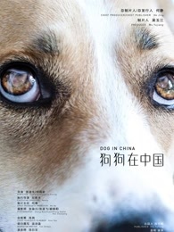狗狗在中國