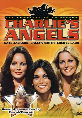 查理的天使:第三季