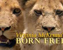 弗吉尼亞·麥肯娜回顧《生來自由》