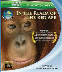 狂野亞洲:赤猿的領地