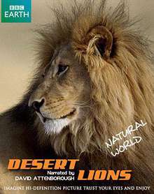 自然世界:沙漠獅