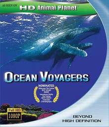 动物星球系列:鲸奇之旅