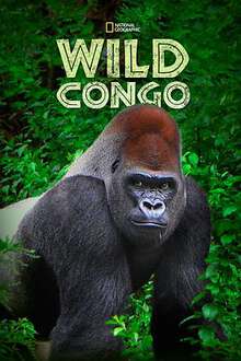 狂野刚果:第一季