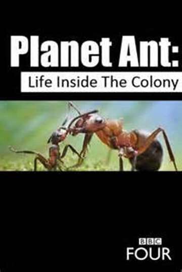 螞蟻星球