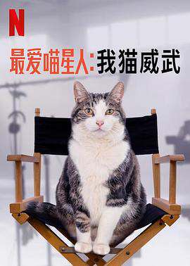 讲述猫中乔治克鲁尼的故事#最爱喵星人:我猫威武