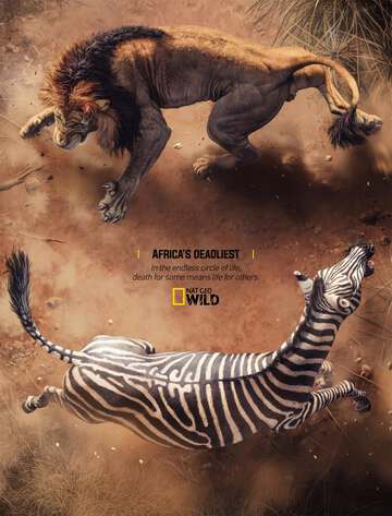 非洲致命動物:第六季