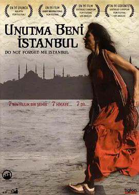 伊斯坦布爾，請不要將我遺忘