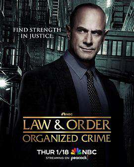 法律与秩序:组织犯罪:第四季