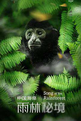 中國海南·雨林秘境